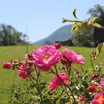 Gite Le Cot En Vallee D'Ossau Sainte-Colome