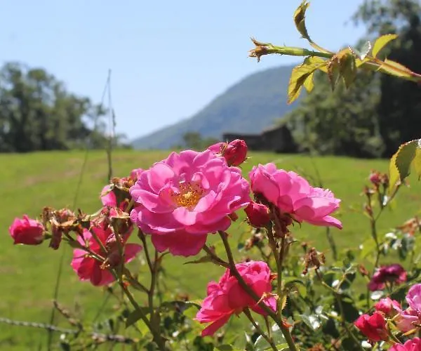 Gite En Montagne Pyrenees Sainte-Colome